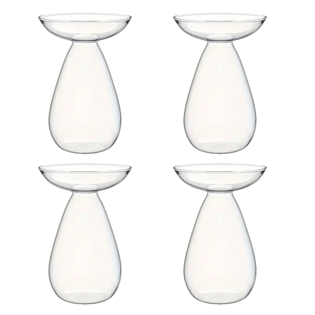 Propagation Station Vase - Avocado Seed Starter Vase Transparent Plant