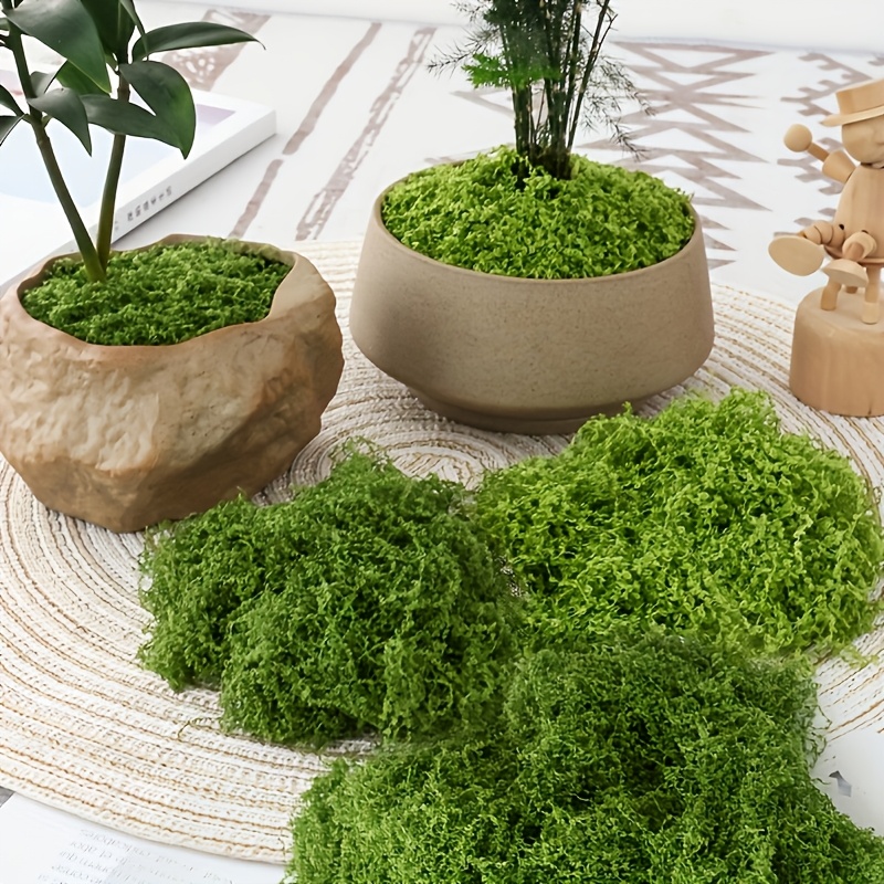 Sphagnum Moss Dry - Large Pack Realistic Artificial Moss Natural