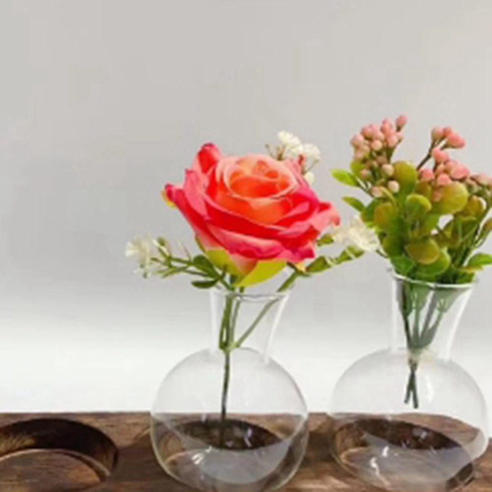 75STO-Hydroponic Plant Vases V - Propagation Station Vase recension och pris