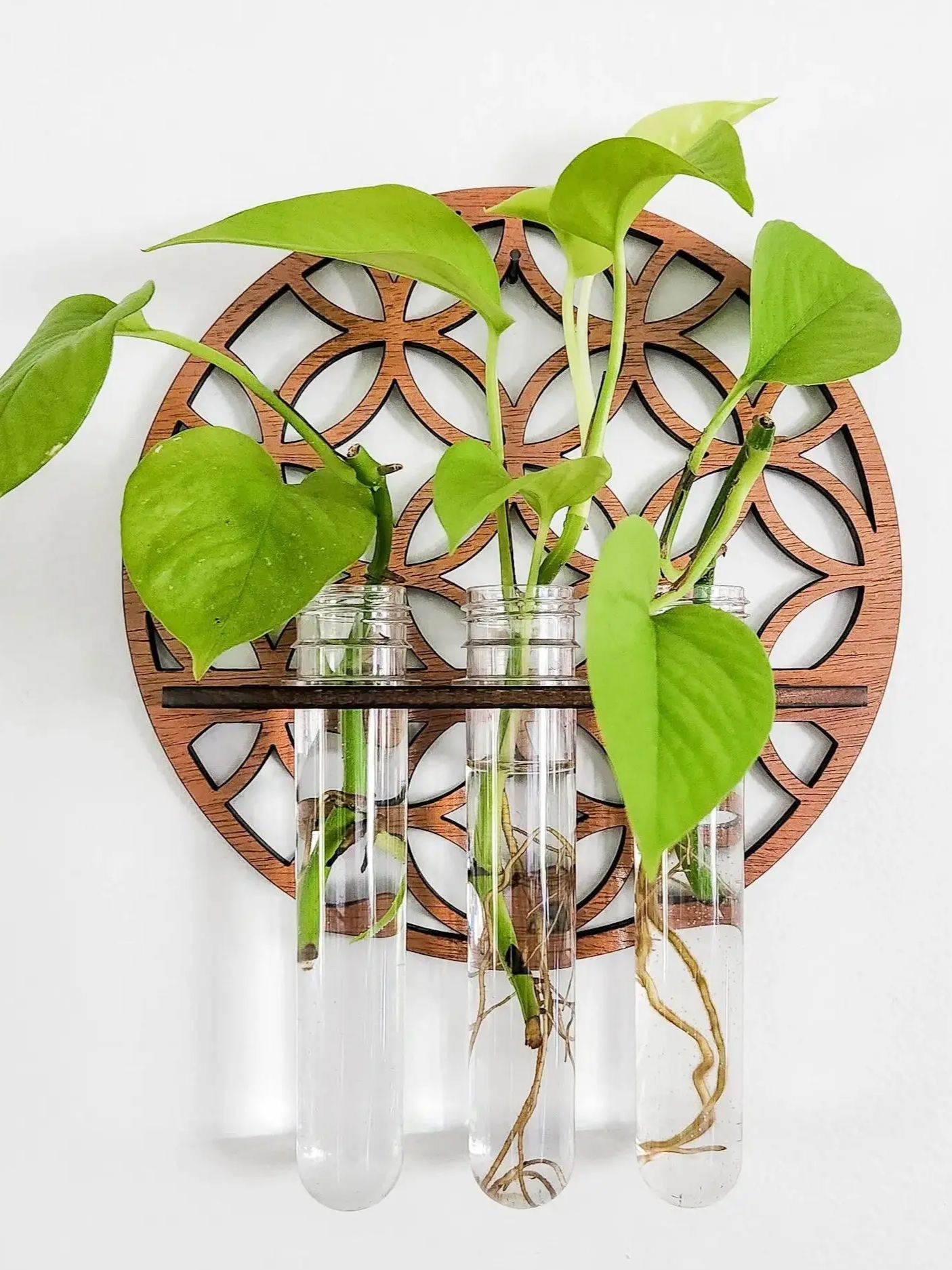 Garden Wall Planters Indoor Wo - Propagation Station Vase recension och pris
