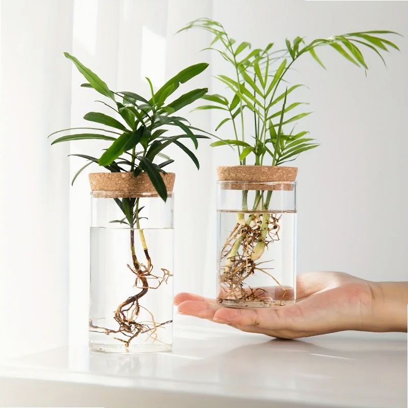 1pc, Hydroponics Plants Deskto - Propagation Station Vase recension och pris