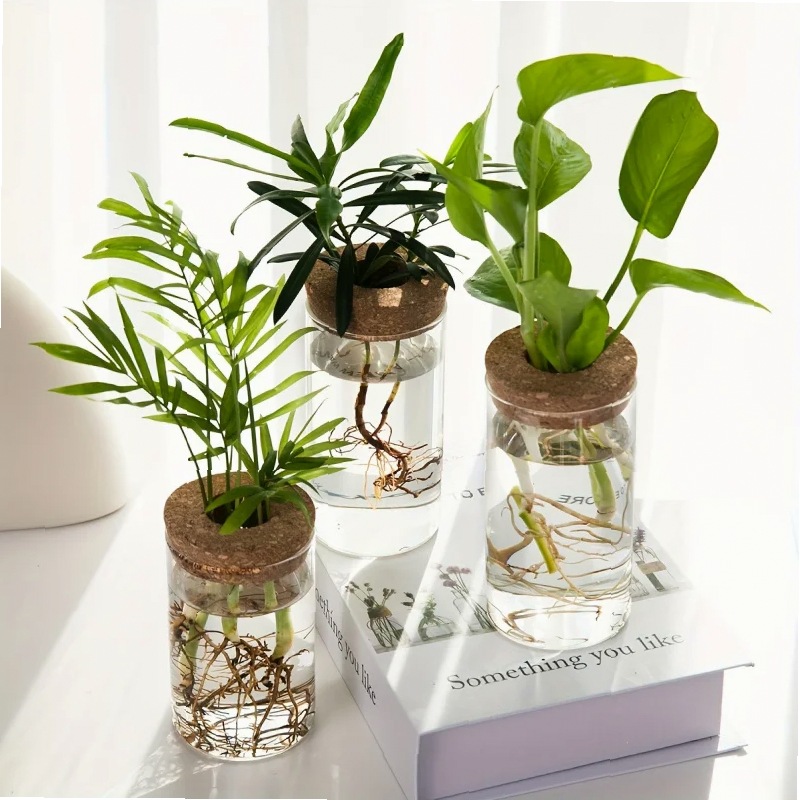 1pc, Hydroponics Plants Deskto - Propagation Station Vase recension och pris