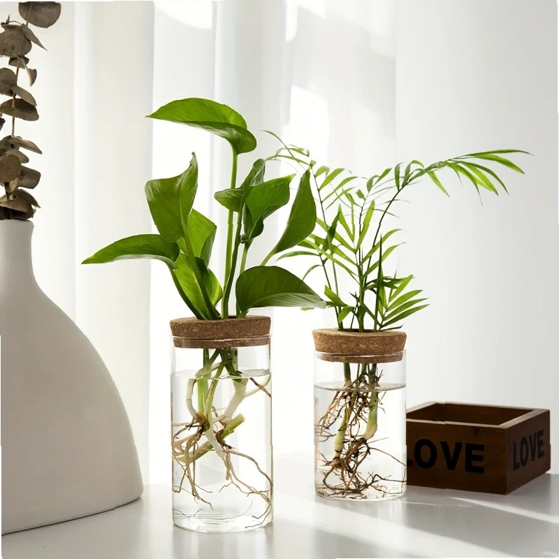 1pc, Hydroponics Plants Deskto - Propagation Station Vase recension och pris