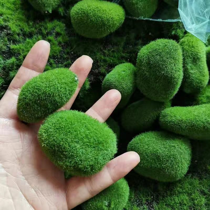 Artificial Green Moss Stones f - Sphagnum Moss Dry recension och pris