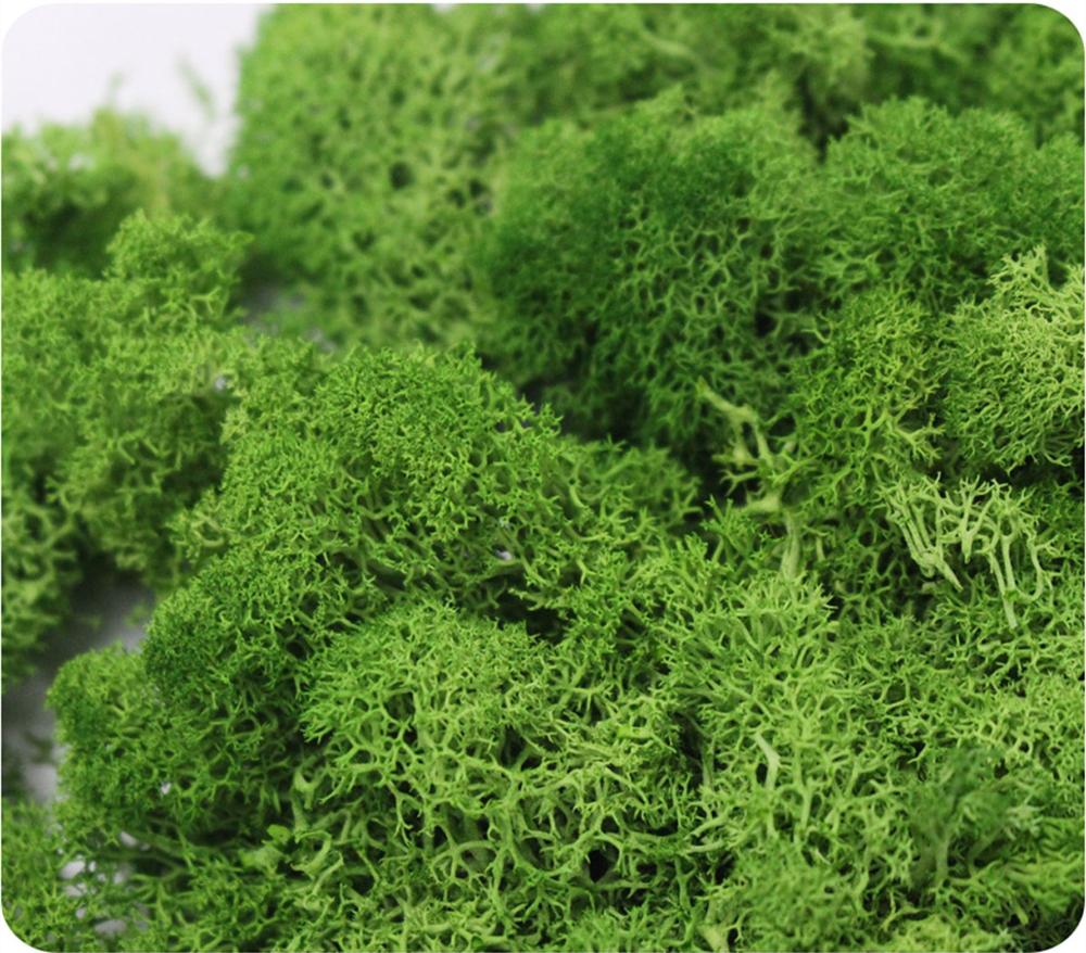 Artificial Plant Eternal Life  - Sphagnum Moss Dry recension och pris