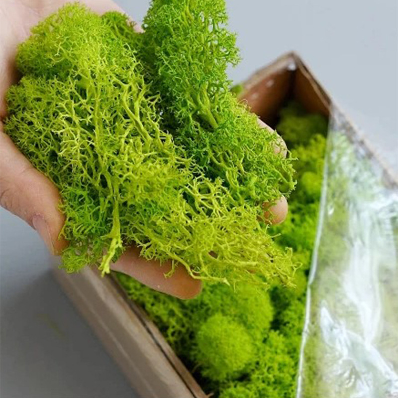 Artificial Green Plants Eterna - Sphagnum Moss Dry recension och pris