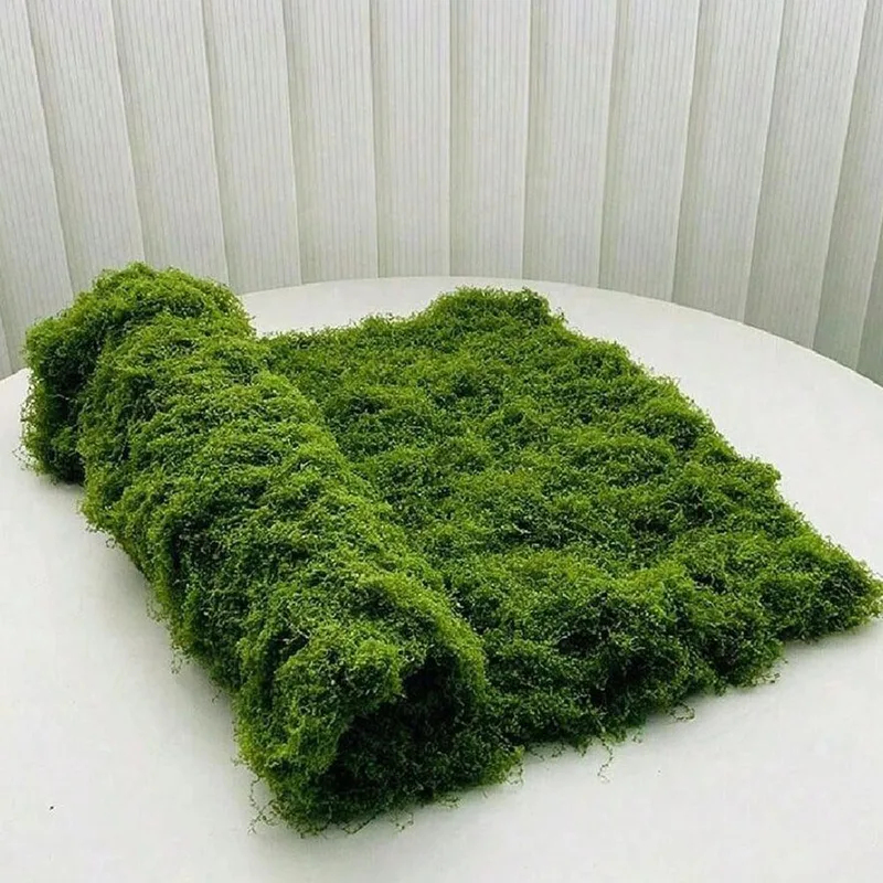 Artificial moss for micro-land - Sphagnum Moss Dry recension och pris